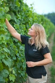 Dianne Smith - in the vineyard