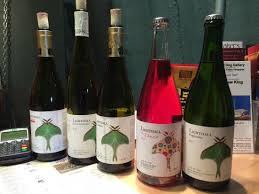 lighthall vineyards bottles - best