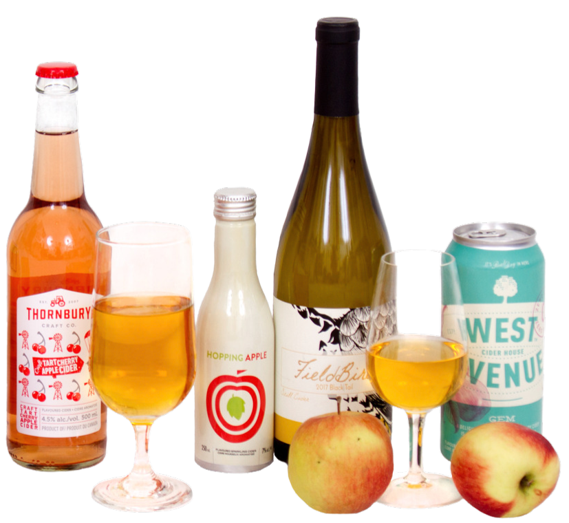Assortment of different bottles and cans of Ontario craft cider on white background cropped Edited
